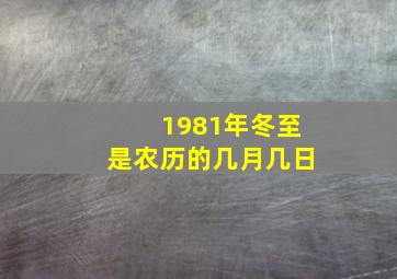 1981年冬至是农历的几月几日