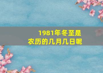 1981年冬至是农历的几月几日呢