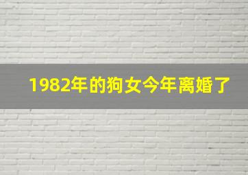 1982年的狗女今年离婚了