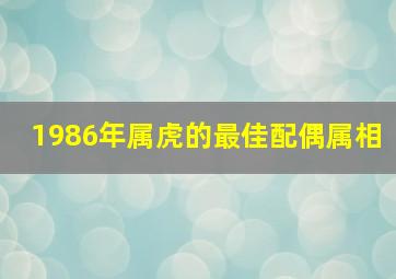 1986年属虎的最佳配偶属相