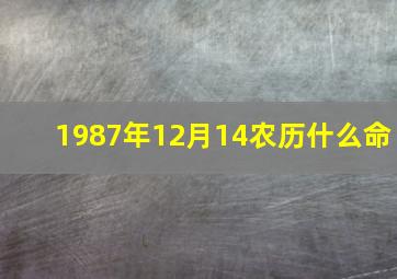 1987年12月14农历什么命