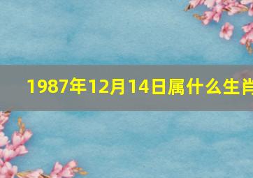 1987年12月14日属什么生肖