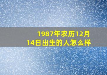 1987年农历12月14日出生的人怎么样