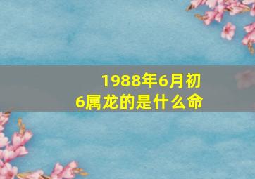 1988年6月初6属龙的是什么命