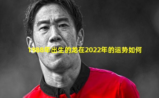 1988年出生的龙在2022年的运势如何