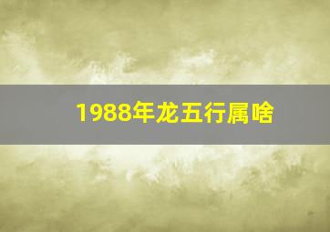 1988年龙五行属啥