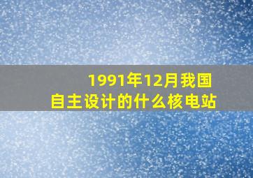 1991年12月我国自主设计的什么核电站