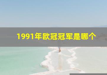 1991年欧冠冠军是哪个