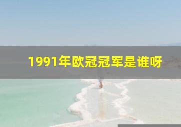 1991年欧冠冠军是谁呀