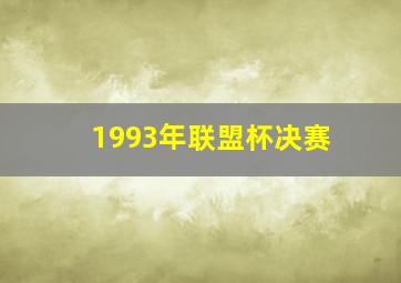 1993年联盟杯决赛