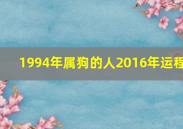 1994年属狗的人2016年运程