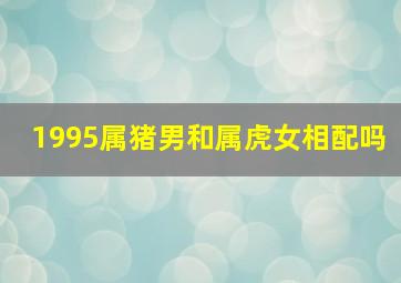 1995属猪男和属虎女相配吗