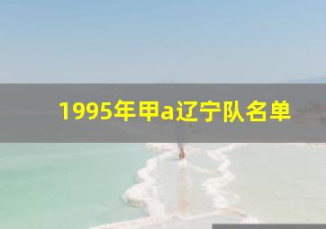 1995年甲a辽宁队名单