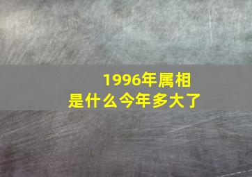 1996年属相是什么今年多大了