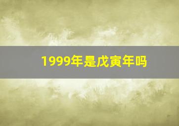 1999年是戊寅年吗