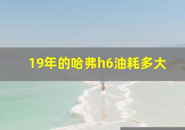 19年的哈弗h6油耗多大