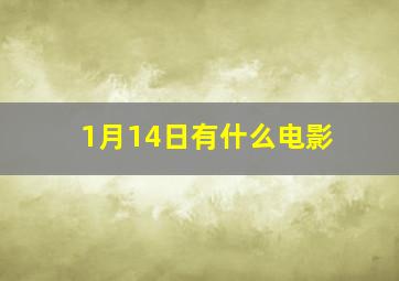 1月14日有什么电影