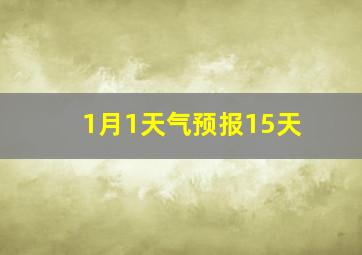 1月1天气预报15天