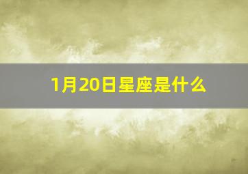 1月20日星座是什么