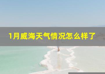 1月威海天气情况怎么样了