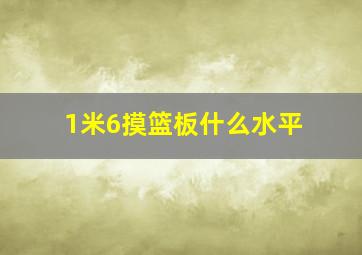 1米6摸篮板什么水平