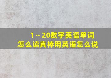 1～20数字英语单词怎么读真棒用英语怎么说