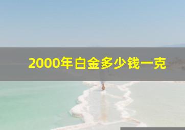 2000年白金多少钱一克