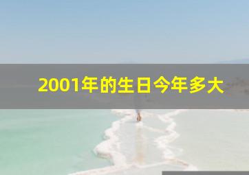 2001年的生日今年多大