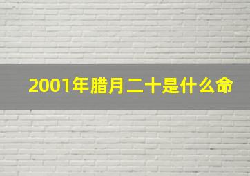 2001年腊月二十是什么命