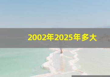 2002年2025年多大