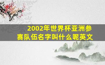 2002年世界杯亚洲参赛队伍名字叫什么呢英文