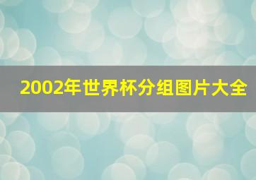 2002年世界杯分组图片大全