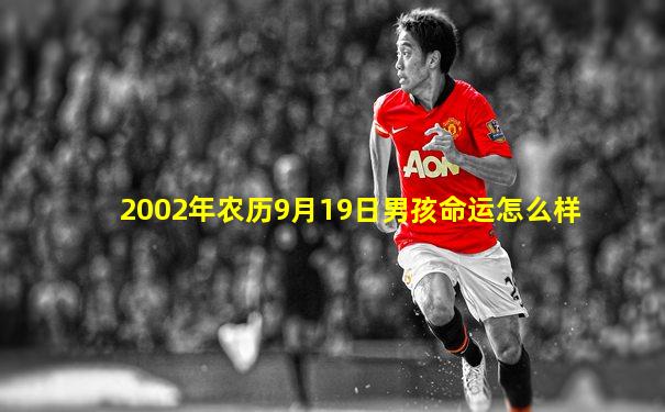 2002年农历9月19日男孩命运怎么样