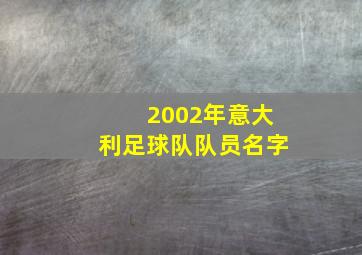 2002年意大利足球队队员名字