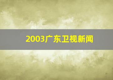 2003广东卫视新闻