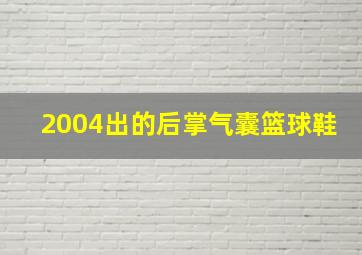 2004出的后掌气囊篮球鞋