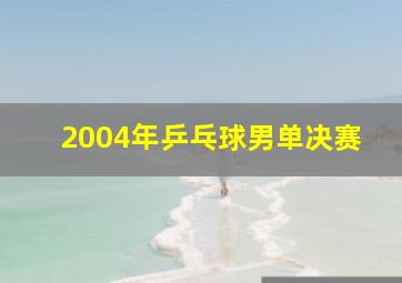 2004年乒乓球男单决赛