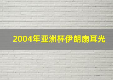 2004年亚洲杯伊朗扇耳光