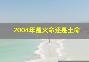 2004年是火命还是土命