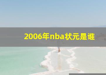 2006年nba状元是谁