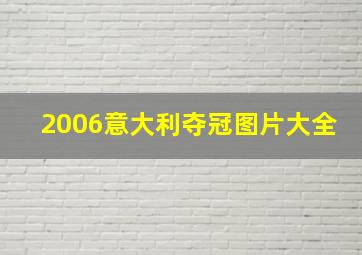 2006意大利夺冠图片大全