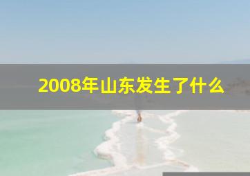 2008年山东发生了什么