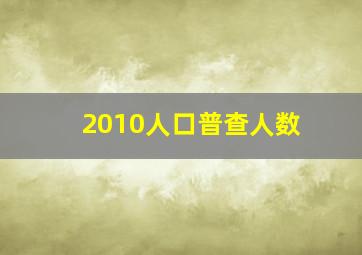 2010人口普查人数