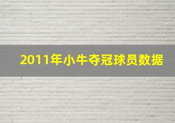 2011年小牛夺冠球员数据