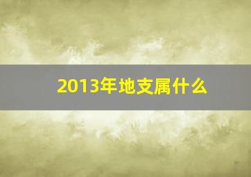 2013年地支属什么