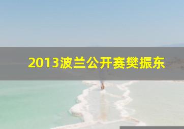 2013波兰公开赛樊振东