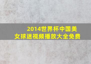 2014世界杯中国美女球迷视频播放大全免费