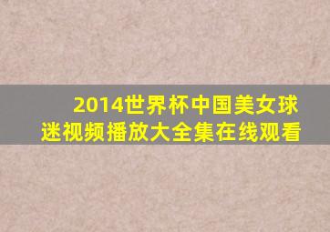 2014世界杯中国美女球迷视频播放大全集在线观看