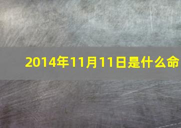 2014年11月11日是什么命