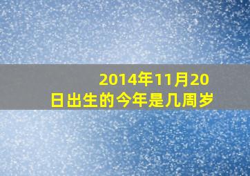 2014年11月20日出生的今年是几周岁